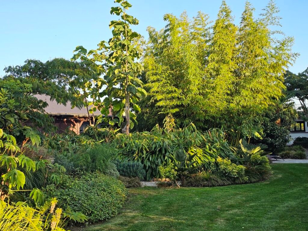 Jardin exotique avec bambous et grande pelouse