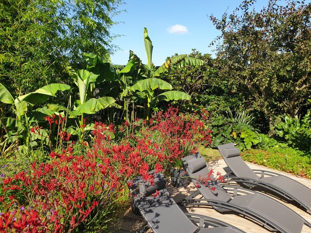 Jardin tropical avec bananiers, crocosmias rouges et terrasse